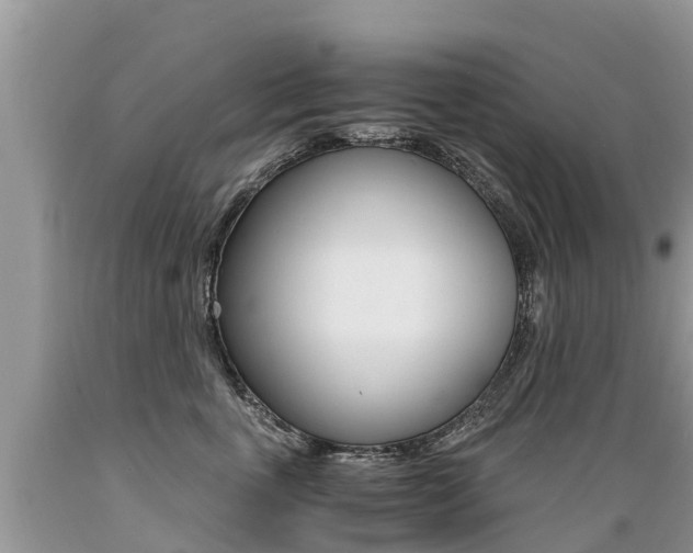X0000089670763200706210753