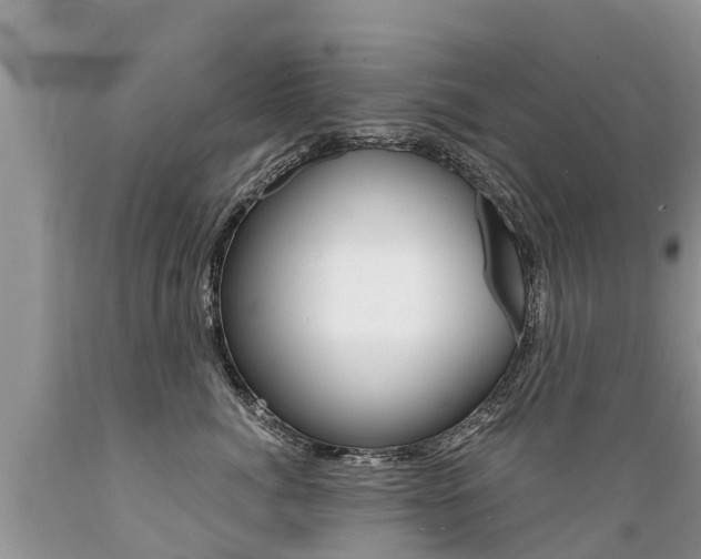 X0000089670764200706210753