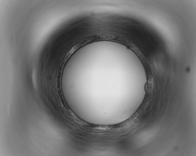 X0000089670765200706210753