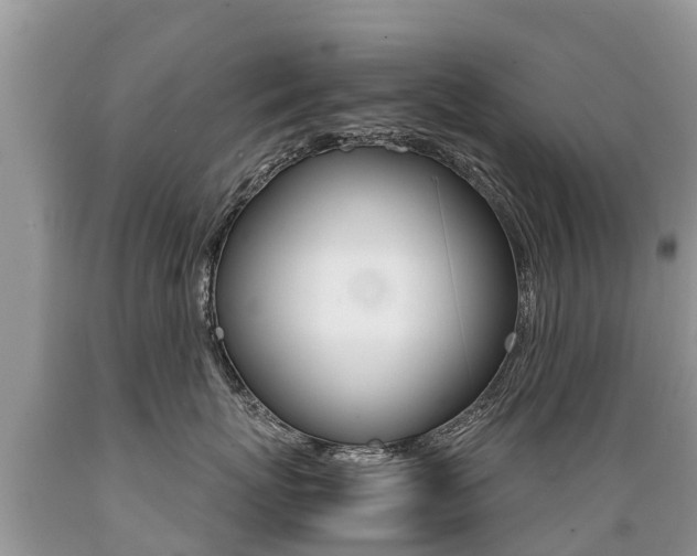 X0000089670767200706210753