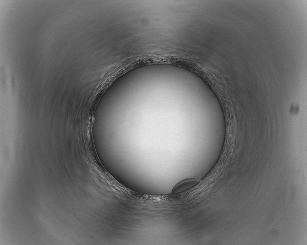 X0000089670768200706210753