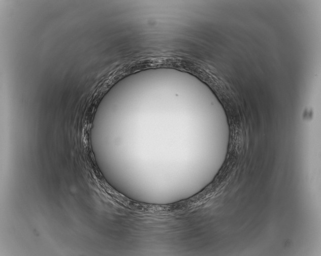X0000089670770200706210752