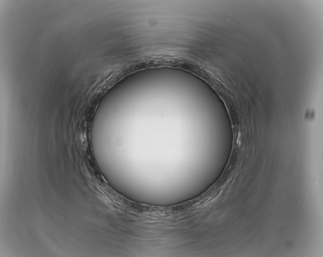 X0000089670771200706210752