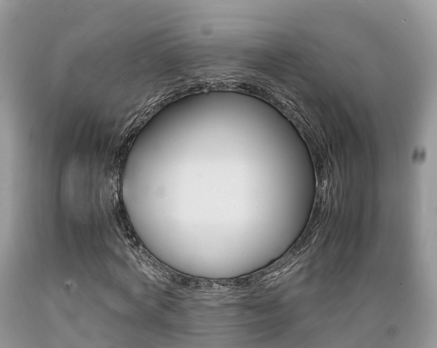 X0000089670772200706210752