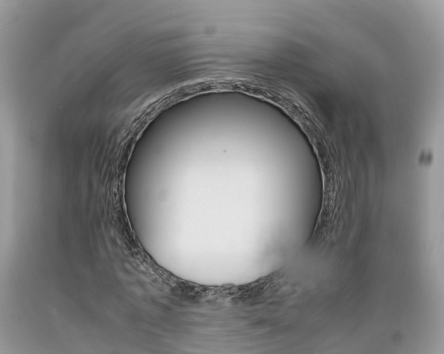 X0000089670773200706210752