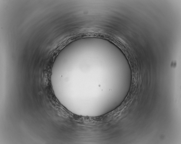 X0000089670774200706210752