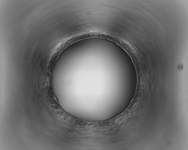 X0000089670776200706210752