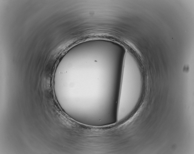 X0000089670777200706210752