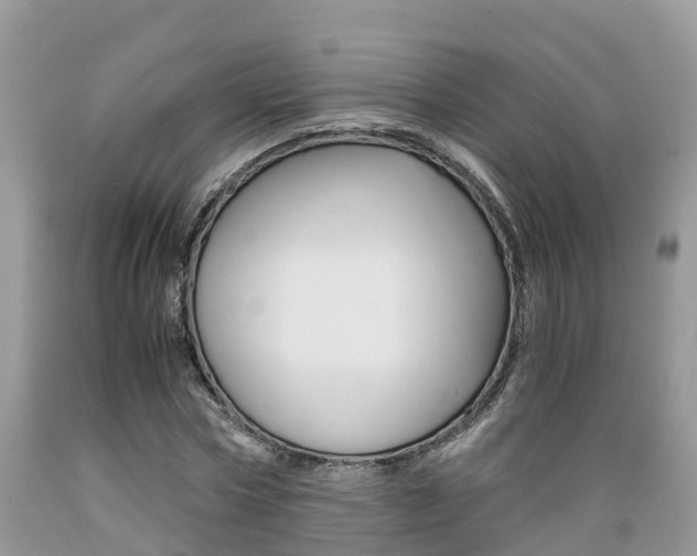 X0000089670778200706210752