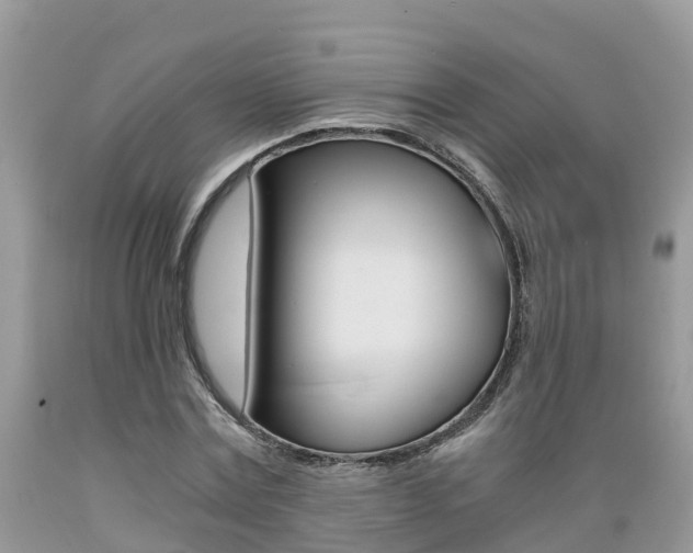 X0000089670779200706210752