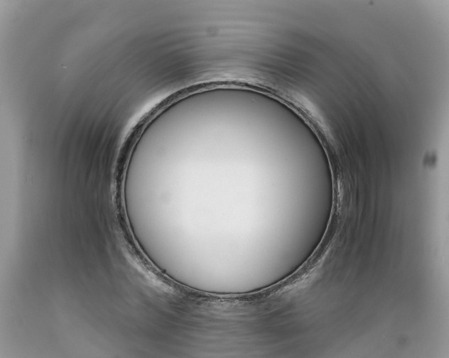 X0000089670780200706210752
