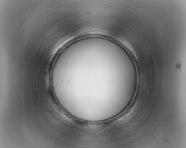 X0000089670782200706210752