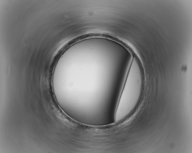 X0000089670783200706210752