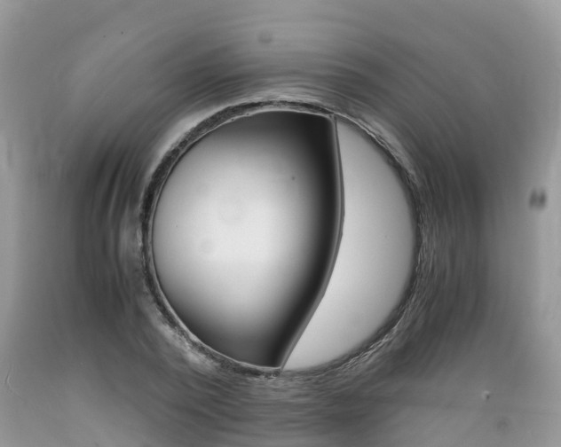 X0000089670784200706210752