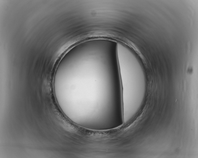 X0000089670786200706210752