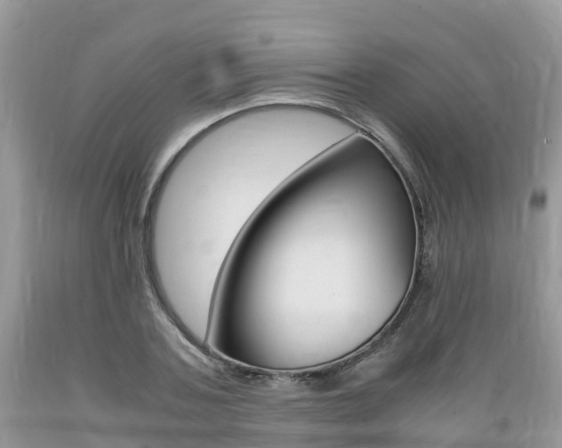 X0000089670787200706210752