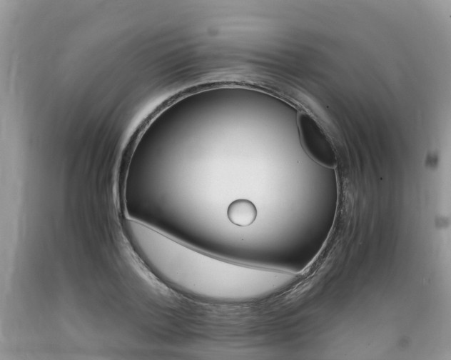 X0000089670788200706210752