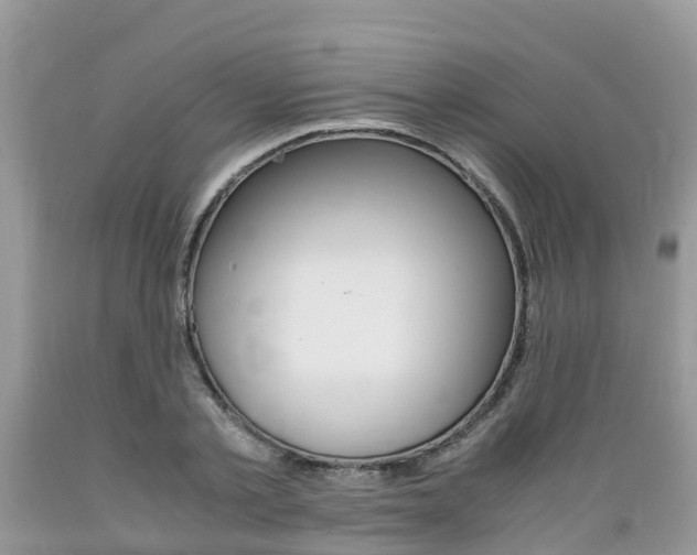 X0000089670789200706210752