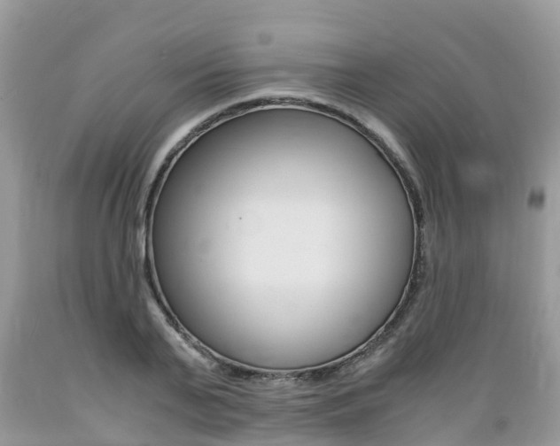 X0000089670791200706210752