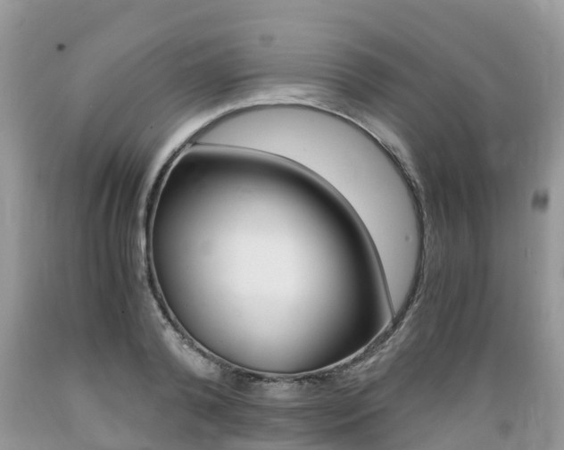 X0000089670792200706210752