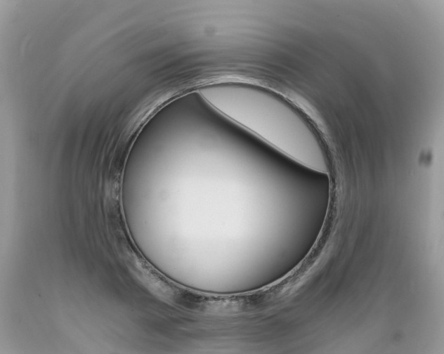 X0000089670793200706210752