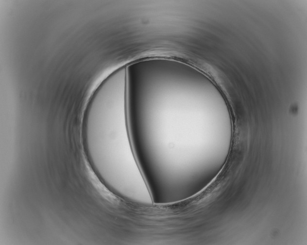 X0000089670795200706210752