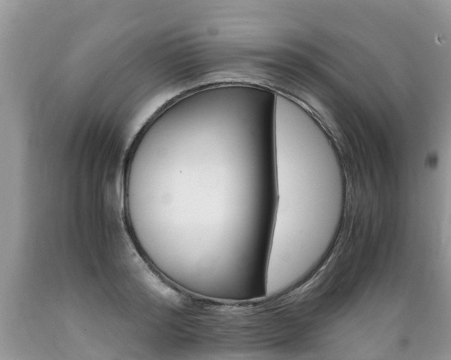 X0000089670796200706210752