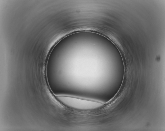 X0000089670797200706210752