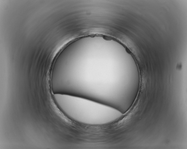 X0000089670798200706210752