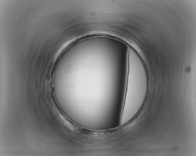 X0000089670799200706210752