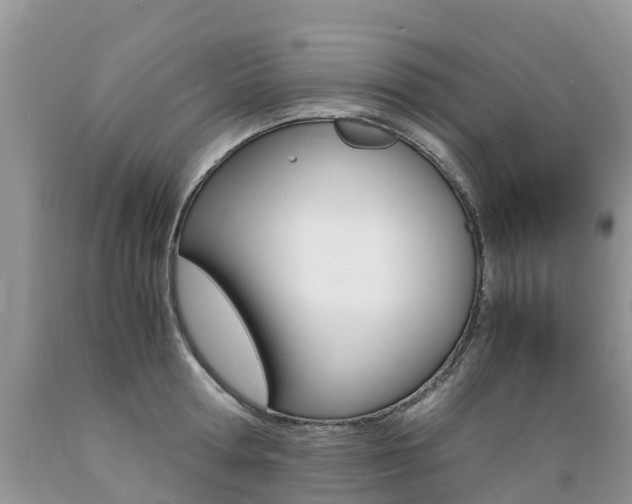 X0000089670802200706210752