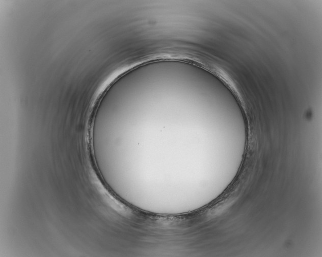 X0000089670803200706210752