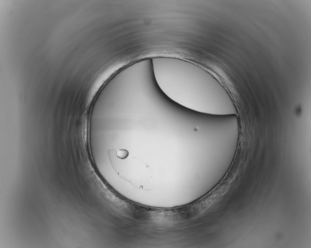 X0000089670804200706210752