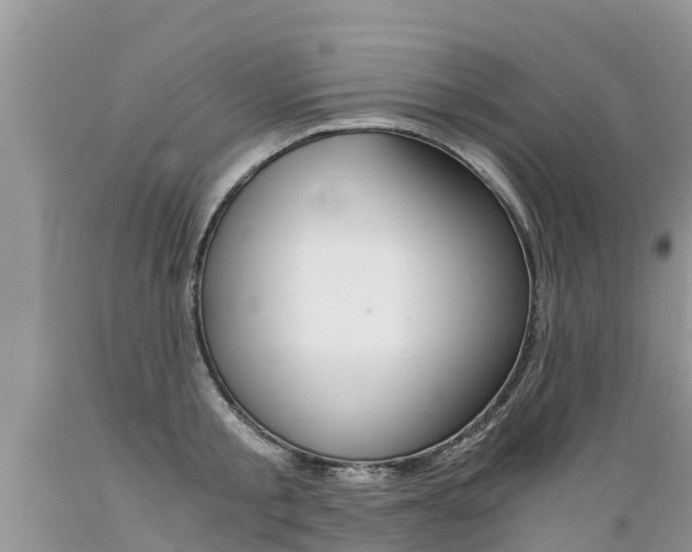 X0000089670805200706210752