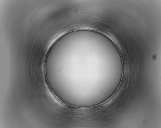 X0000089670806200706210752