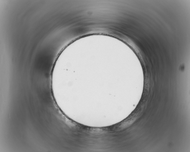 X0000089670807200706210752