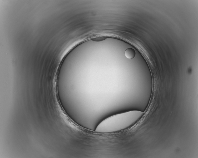 X0000089670814200706210752