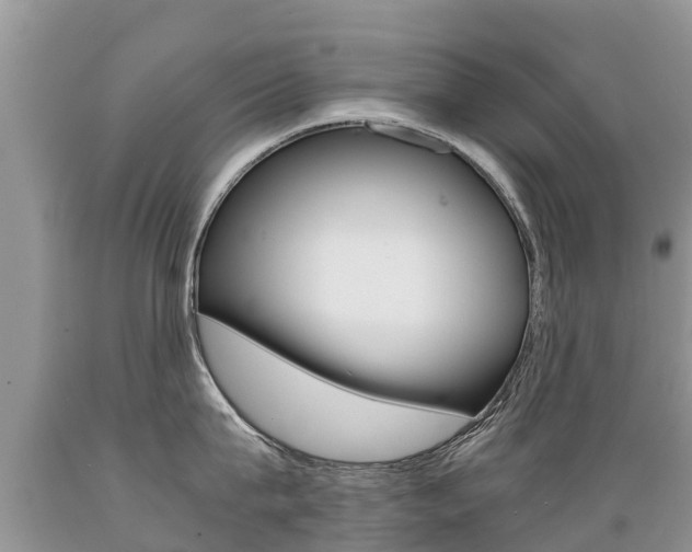 X0000089670815200706210752