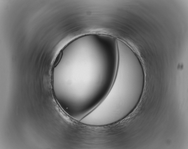 X0000089670816200706210752