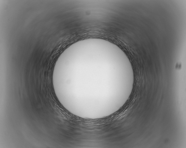 X0000089670818200706210751