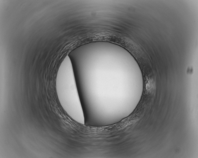 X0000089670819200706210751