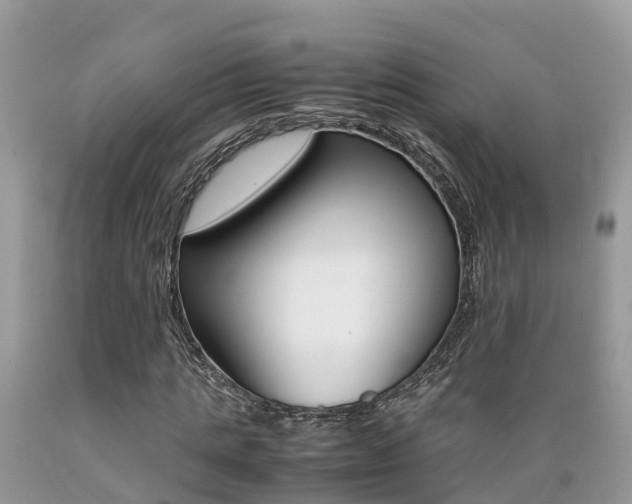 X0000089670821200706210751