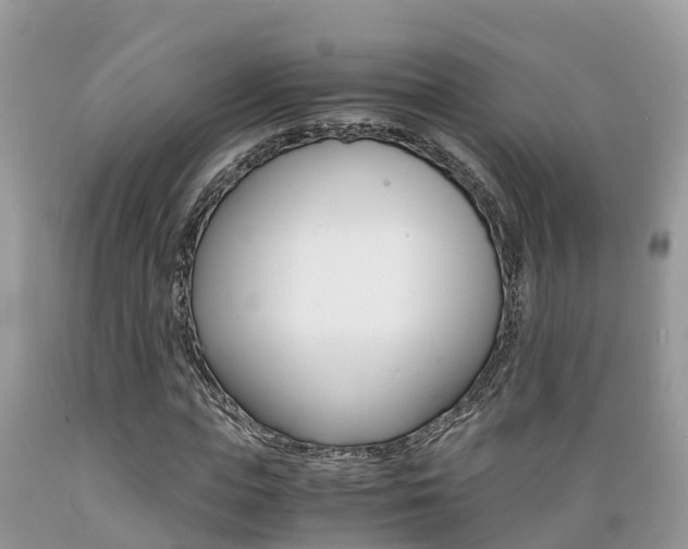 X0000089670823200706210751