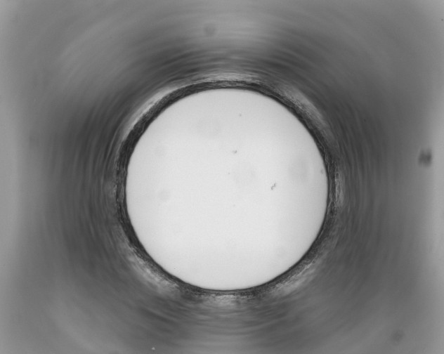 X0000089670828200706210751