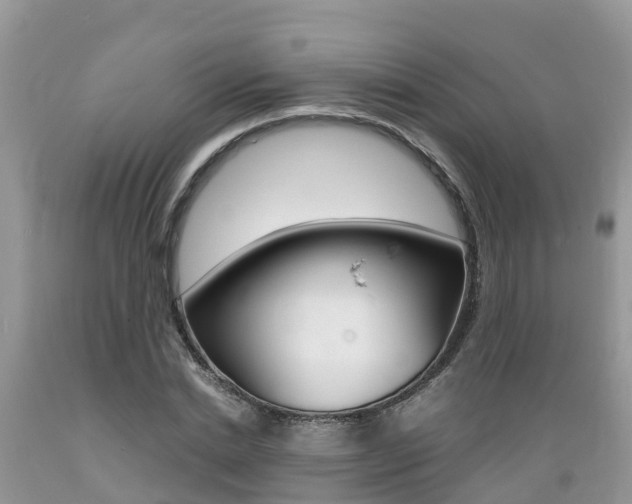 X0000089670830200706210751