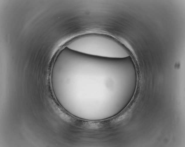 X0000089670831200706210751