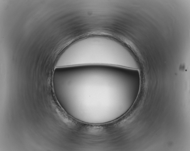 X0000089670833200706210751
