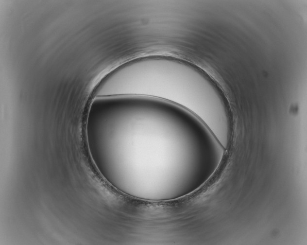 X0000089670834200706210751