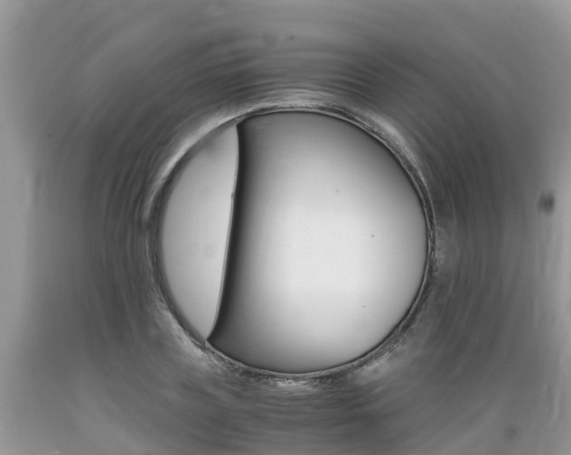 X0000089670835200706210751