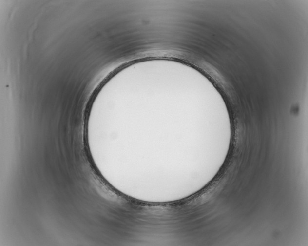 X0000089670836200706210751